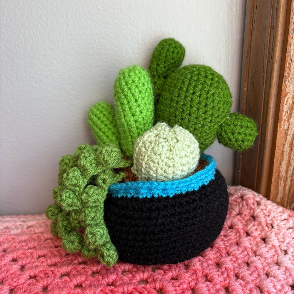 Custom crochet succulent planter
